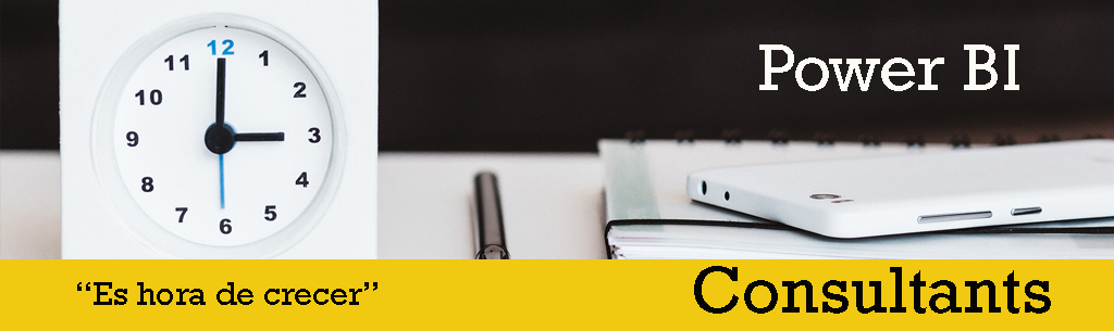 Consultores de Microsoft Power Bi